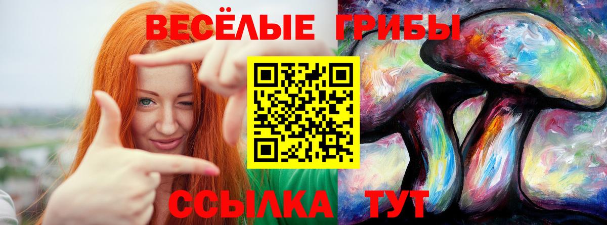 Псилоцибиновые грибы Cubensis Нефтекамск